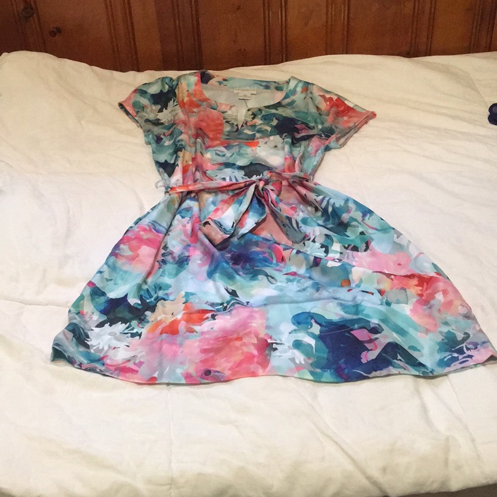 Liz Claiborne Dress